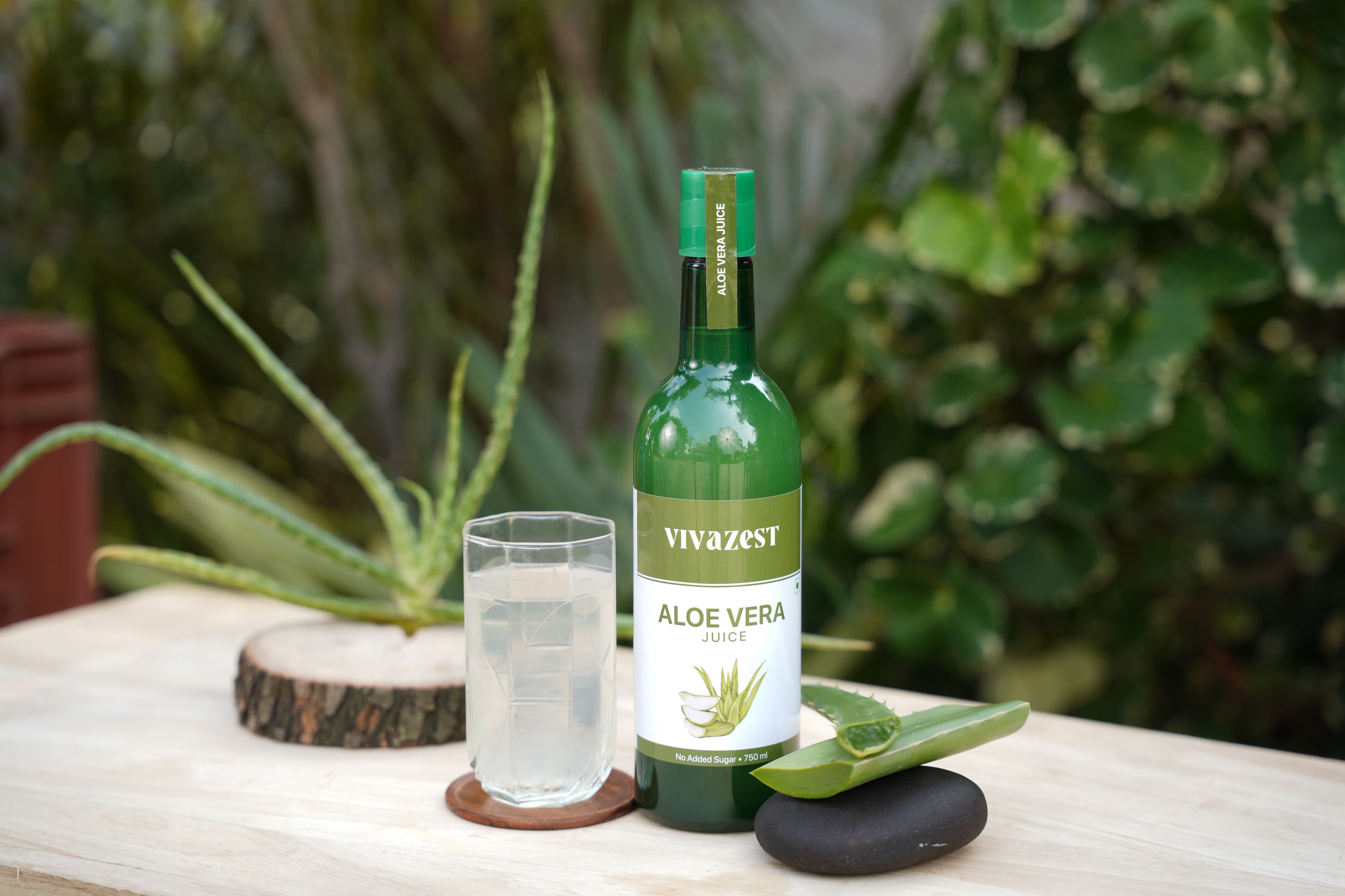 Vivazest Aloe Vera Juice bottle styled in the garden